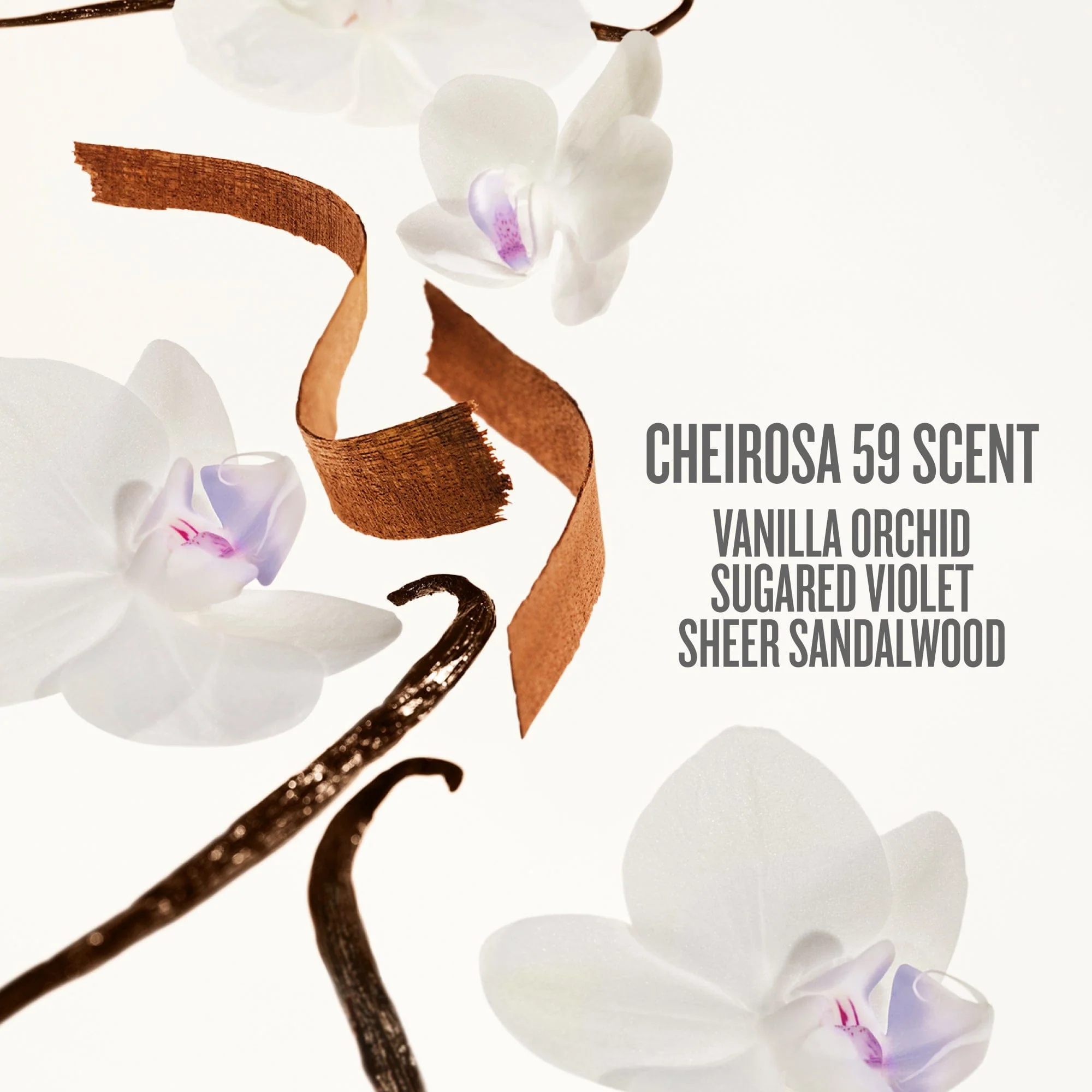 Mood-Boosting Duo | Online Exclusive - Image 5