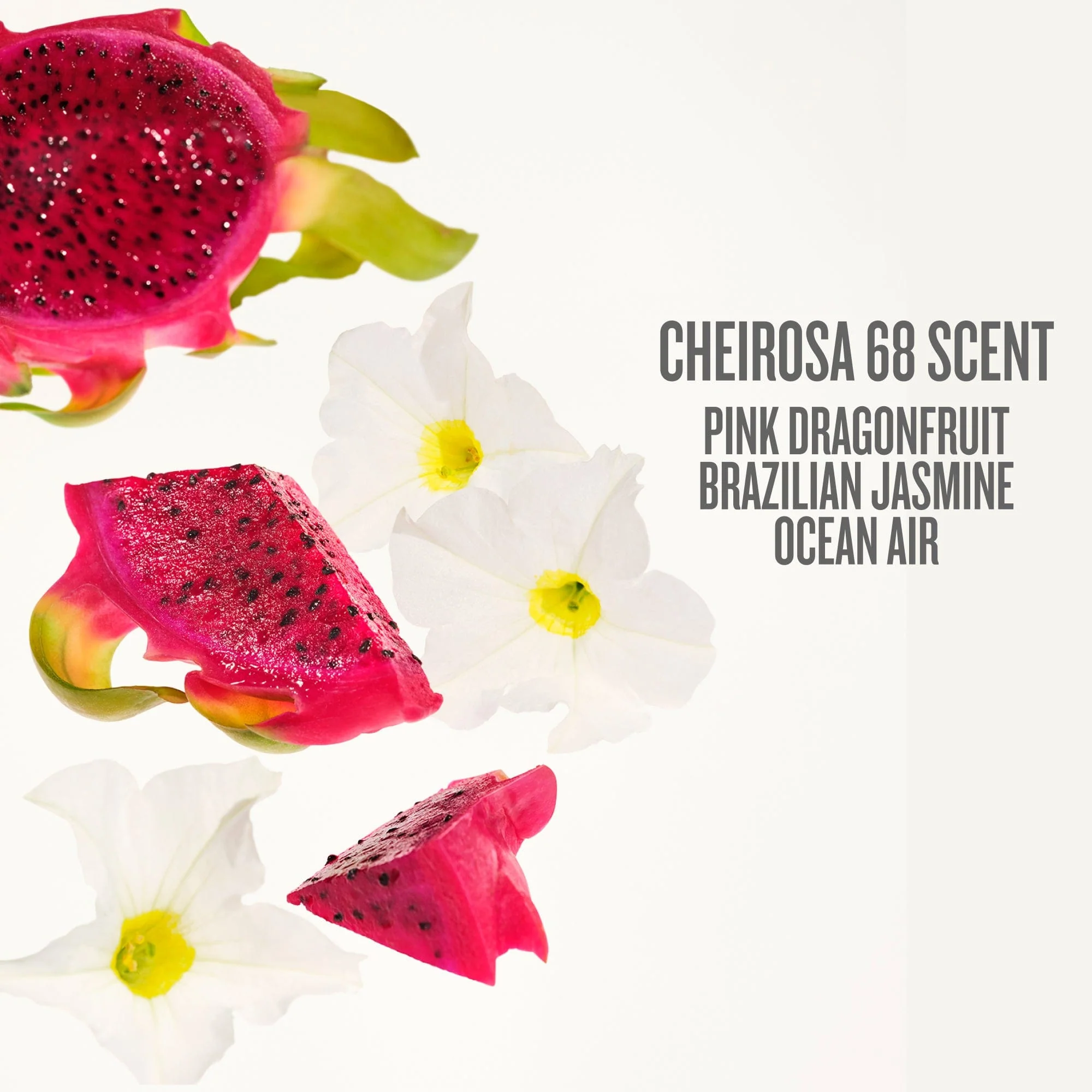 Beija Flor™ Elasti-Body Oil - Image 6
